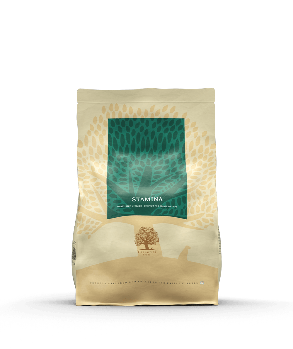 STAMINA SMALL BREED 2,5kg
