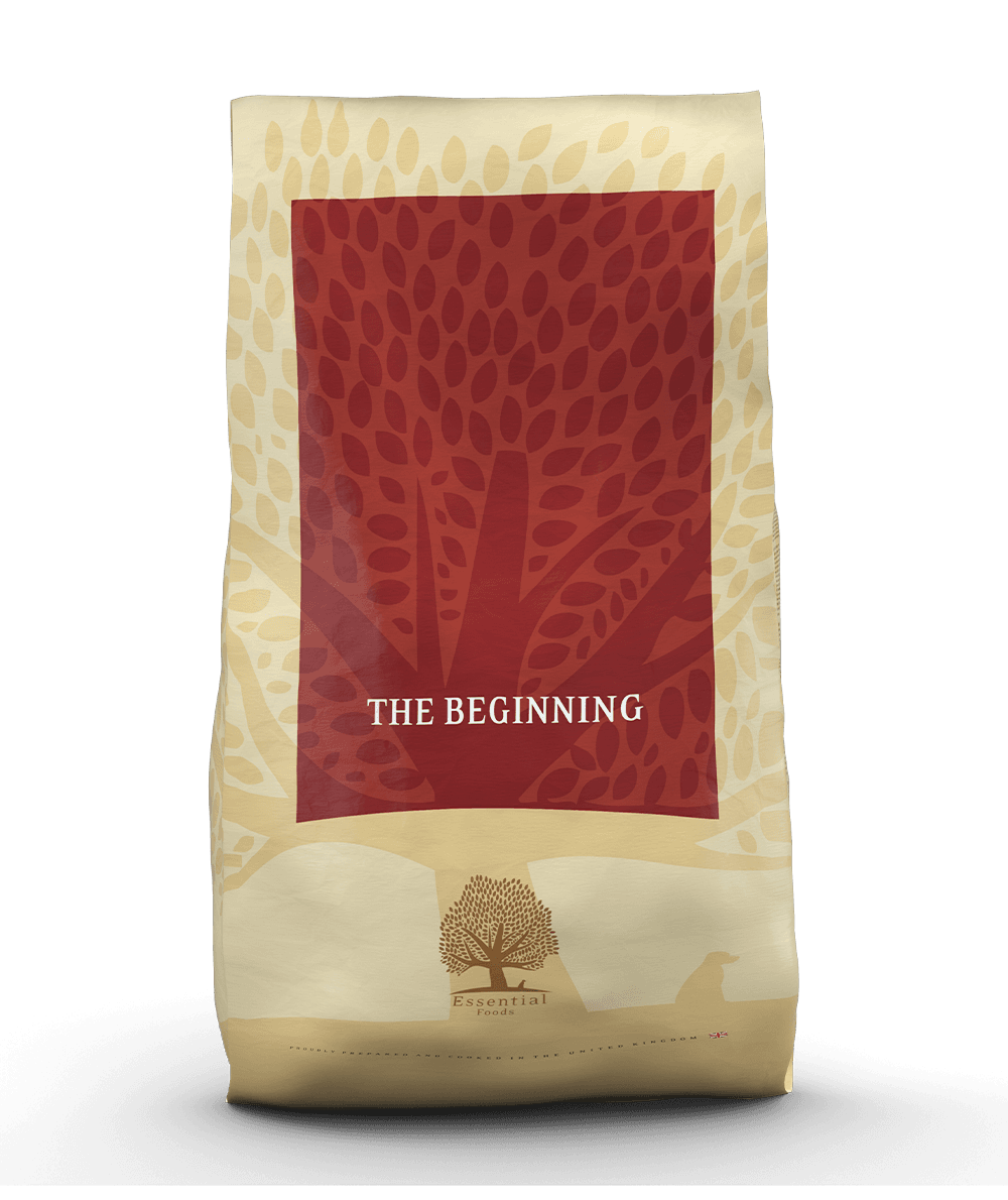 the BEGINNING 10kg