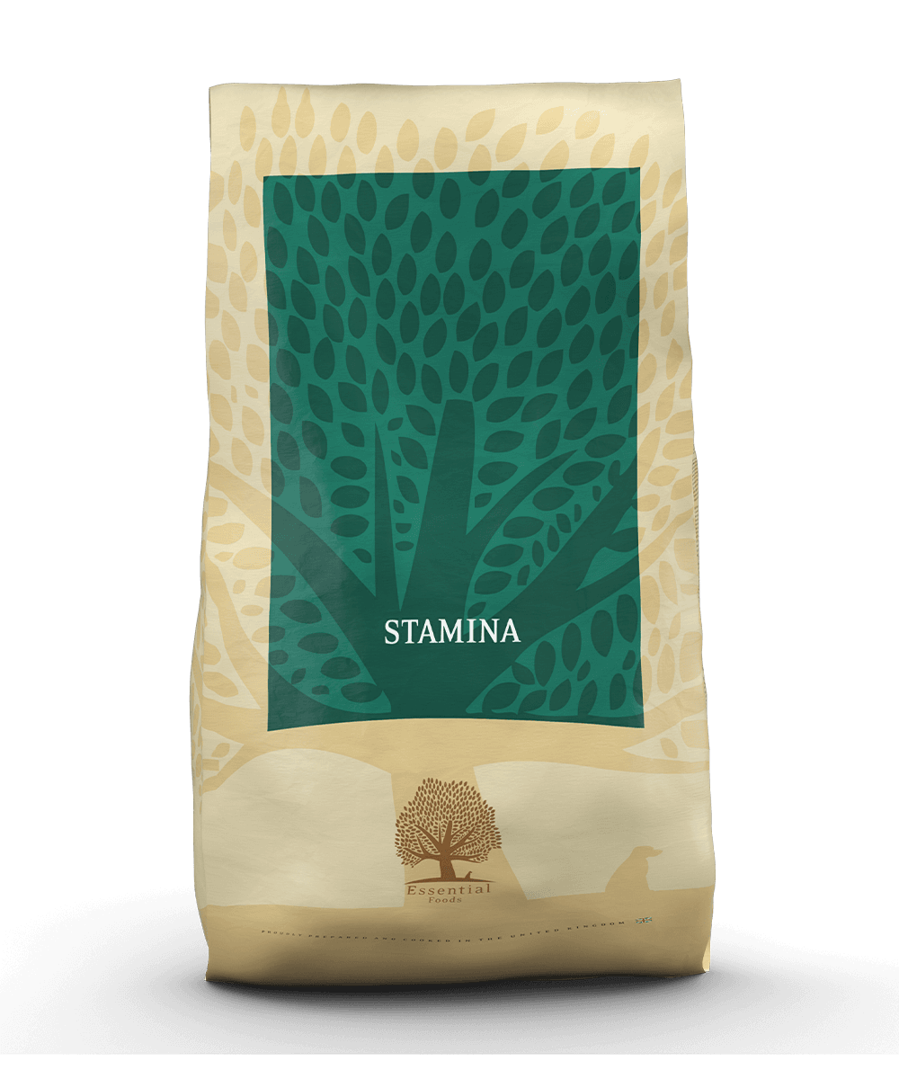 STAMINA 10kg