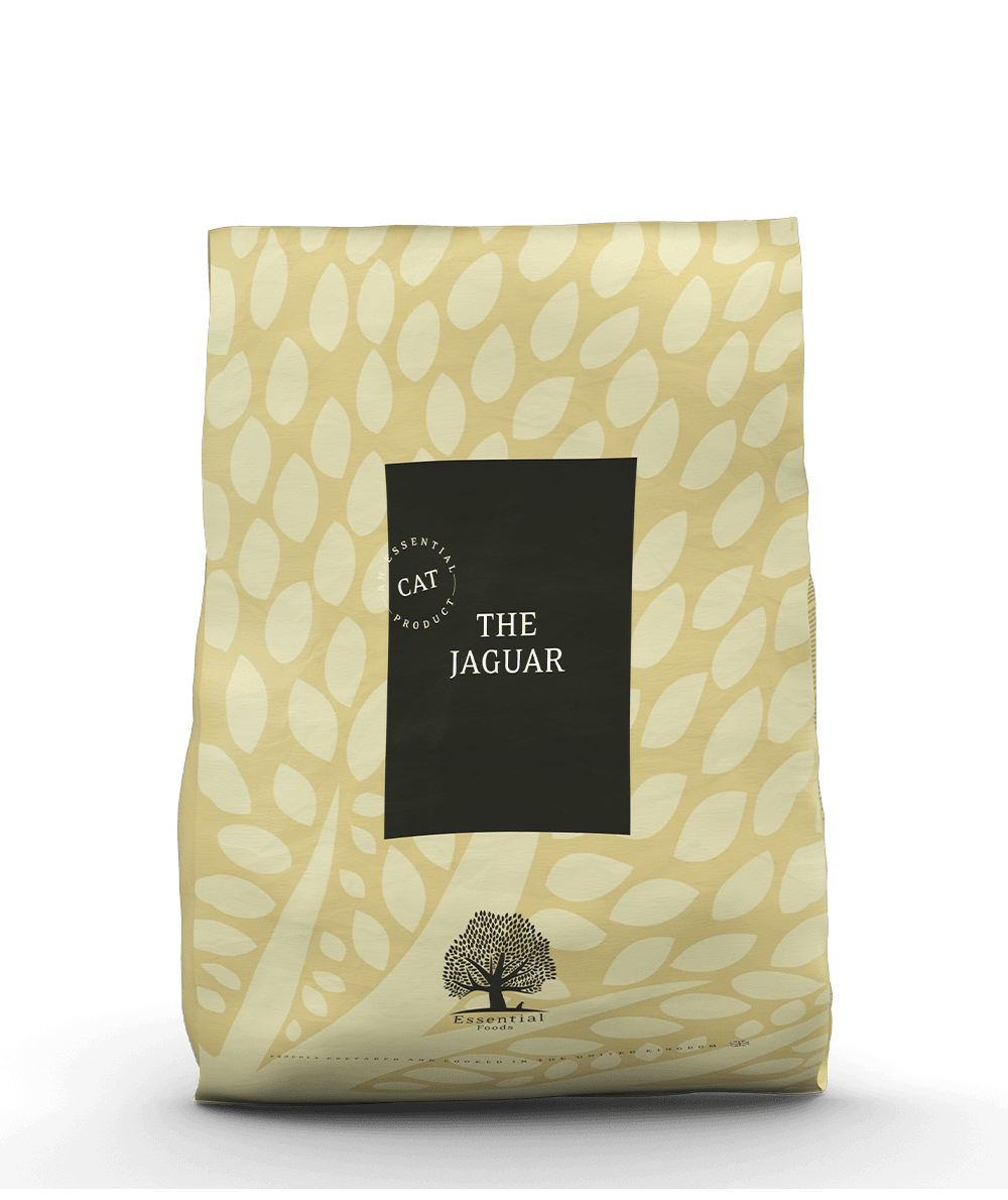 The Jaguar 12kg